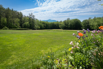 View of Mount Ascutney and  Connecticut River Valley. Poppies, purple iris, and Columbine flowers...