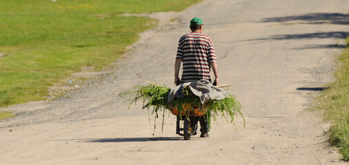 A rural man carries grass on a cart to feed his pets. 