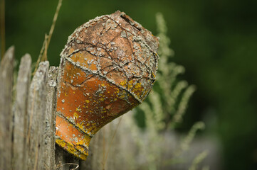 an old jug on a fence on a green background in a Belarusian village