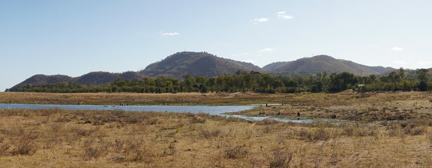 Zebra wildlife encounter in a safari lodge in Kariba, Zimbabwe, Africa.