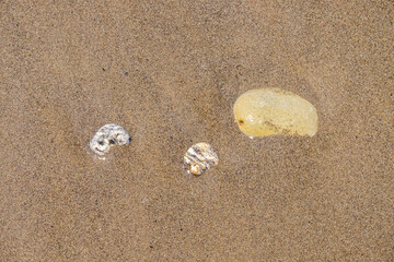 Fototapeta na wymiar Small stones by the beach