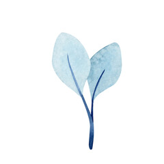 Watercolor blue leaves clipart on white background. Hand drawn herb illustration.