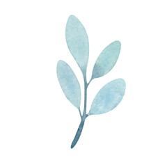 Watercolor blue branch clipart on white background. Hand drawn herb illustration.