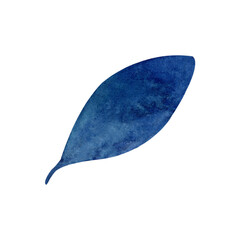 Simple watercolor blue leaf clipart on white background.