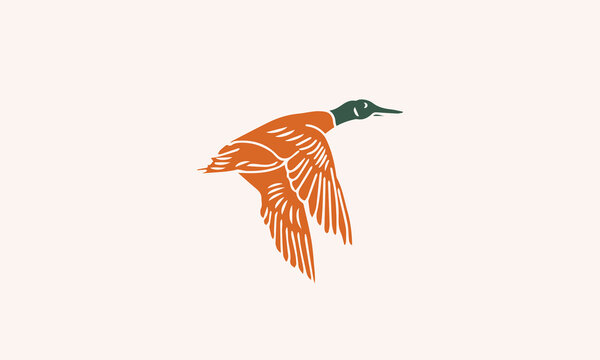 Vintage Drawing Flying Duck
