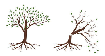 Vector illustration of a broken tree.