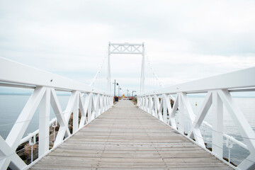 Fototapeta na wymiar Bridge over the sea