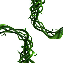 Plant Vines Green, Thick Corner © higyou