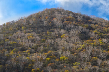紅葉の赤城山・覚満淵／群馬県前橋市