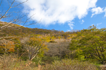 紅葉の赤城山・覚満淵／群馬県前橋市