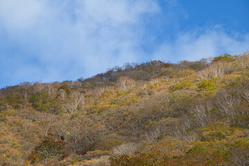 紅葉の赤城山・覚満淵／群馬県前橋市