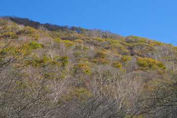 紅葉の赤城山・覚満淵／群馬県前橋市