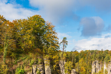 Blick auf Felsen und Bäume in der Sächsische Schweiz