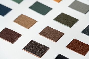 High quality sample book of top grain leather for lleather industry.