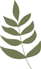Fototapeta na wymiar Simple autumn leaf in green color. Autumn design element. Vector illustration