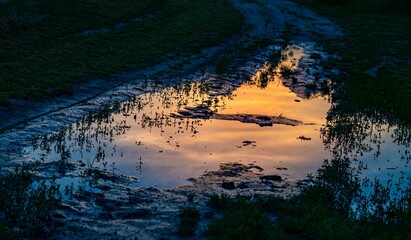 Scenic sunset reflected in a puddle