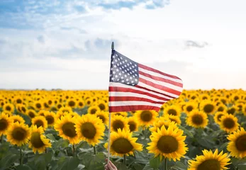 Zelfklevend Fotobehang American flag among a beautiful blooming field of sunflowers. vacation, travel. Independence Day of the United States of America. Pride, Patriotism. country symbol © Anna
