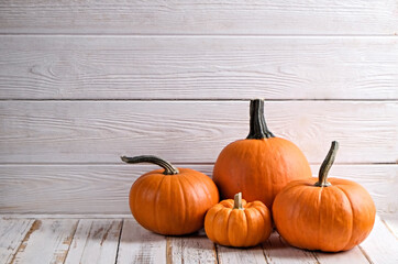 Close up shot of four classic orange pumpkins on white grunged wood background as a symbol of autumnal holidays with a lot of copy space for text