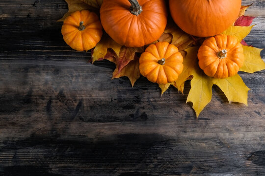Thanksgiving background concept. Local produce pumpkin and autumn maple leaves as traditional autumnal holidays decoration on a dark wood table. Close up, copy space for text, top view, flat lay.