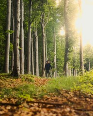 Young male walking in a dense forest
