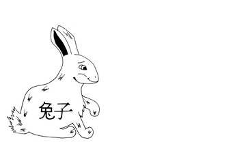 Rabbit and Chinese character with copy space. Background with the symbol of the 2023 new year according to the Chinese calendar. 兔子 - rabbit by chinese language.