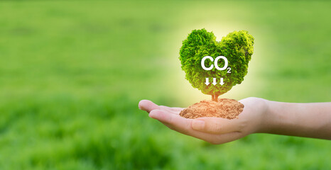 Reduce CO2 emission.Clean and friendly environment without carbon dioxide emissions. hand holding...