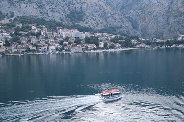 Port of Kotor