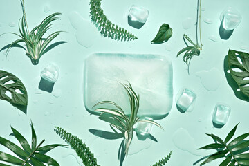 Summer mint green background with cold frozen ice cubes and leaves of house plants. Direct sunlight...