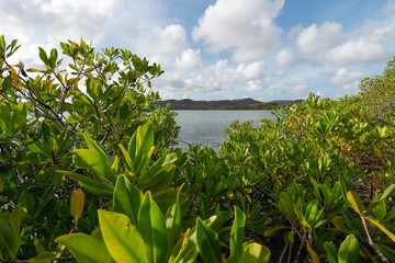 Santa Marta Bay Curacao
