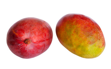 Two mango, isolated