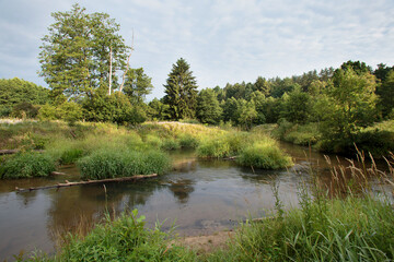 Fototapeta na wymiar Nature of Belarus, summer landscape with a small river