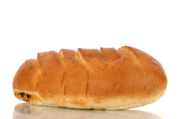 One fragrant fresh loaf, close-up, isolated on a white background.