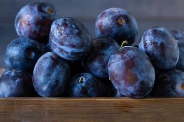 Pile of freshly  picked ripe plums background