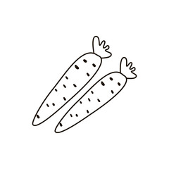 Single hand drawn carrot. Doodle vector illustration. Isolated on white background.