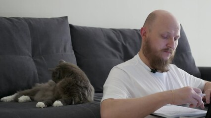 A man works on a laptop at home, behind him lies a gray cat on the couch and diligently licks his fur. Homework, freelancing. work from home. stay home. Coronavirus quarantine