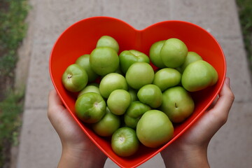 Tomates verdes sostenidos en manos de una mujer adolescente joven
