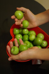 woman hands holding tomatoes
