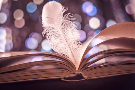 book pages. and feather vintage photo style with bokeh background