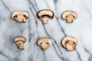 Still life of Mushrooms on Marble 