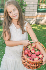 The girl is holding in her hands a full basket of ripe red apples.