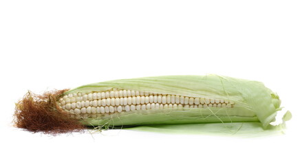 Cob of corn with green leaves isolated on white