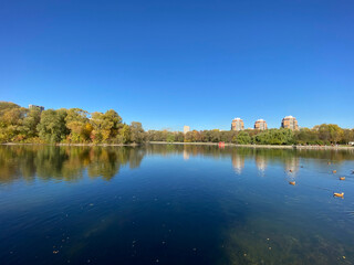 park in autumn at dry sunny fall day