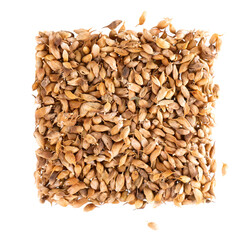 Utsho suneli seeds isolated on white background. Trigonella caerulea or blue fenugreek. Spices and herbs. Top view.