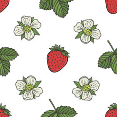 vector graphic seamless pattern with strawberry plant