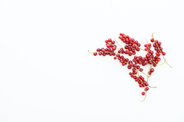 Branch of red currant isolate on white