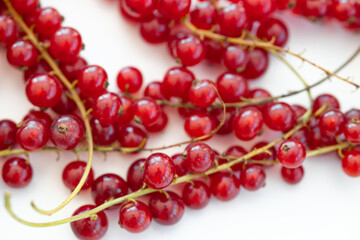 Obraz na płótnie Canvas Ripe red currant berries on white background. Harvesting farm organic