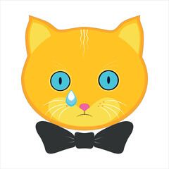 Signs and symbols of an orange cat, Emoji, crying, a dripping tear. Vector.