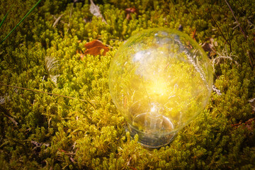 Glühbirne Konzept - Natur - Transparenz - Zerbrechlich - Ecology - Glass Sphere - Bioeconomy -...