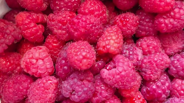 Fresh, juicy raspberry background, ripe. Macro red raspberry fruit. Fresh raspberry fruit as food Dackground. Organic healthy food.