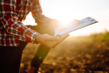 Farmer is checking soil quality before sowing. Agriculture production concept.